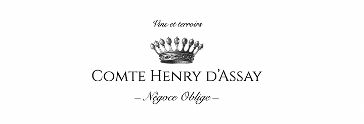 Comte Henry d'Assay